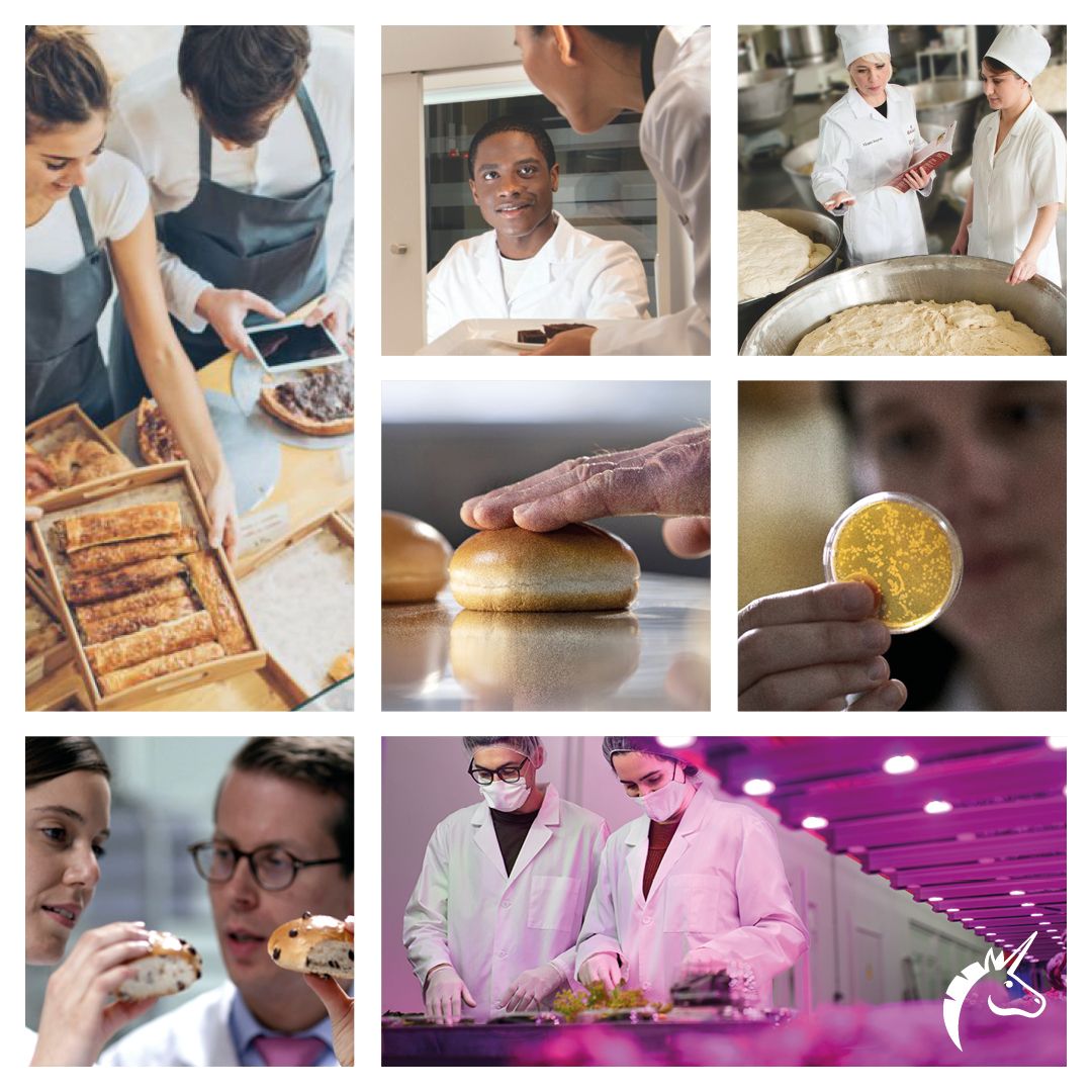 puratos image 2